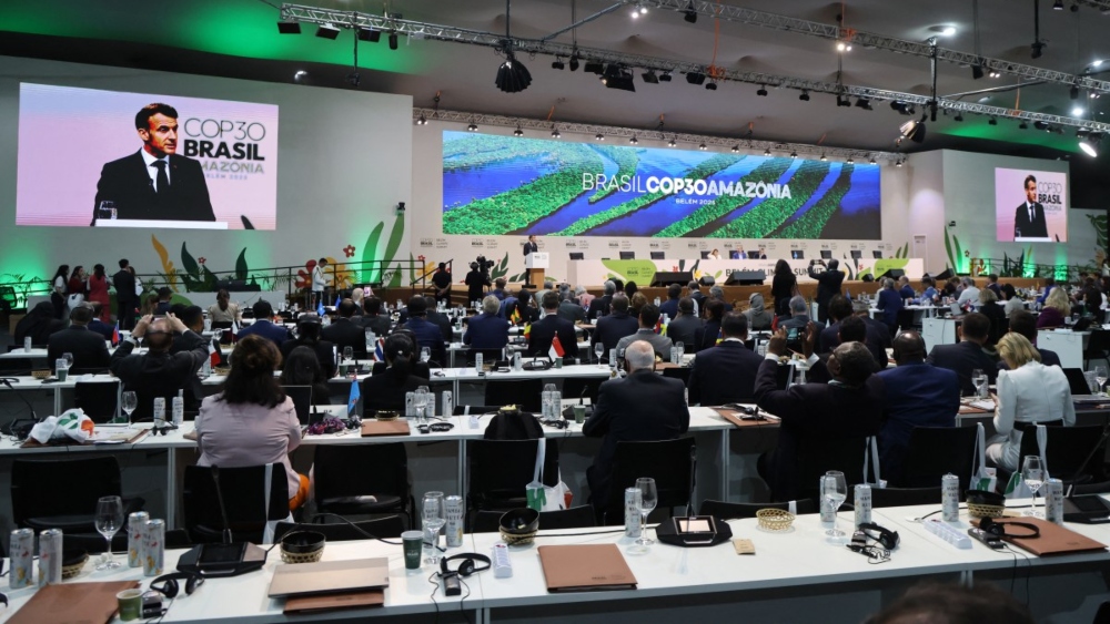 World leaders launch fund to save forests, get first $5 billion 